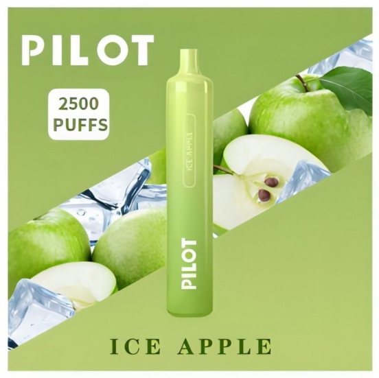 Disposable Vape Pens Wholesale Pilot 2500