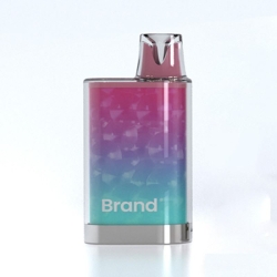 customize Disposable Vape Z-1101