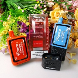 Disposable Feemo TW10000 Tw10000 Vapes
