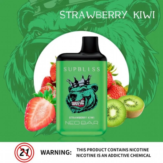 2024 Best Selling Randm Supbliss Neo 5000 4000 Puffs Vape