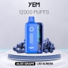 Disposable Vape Brands YEM Bm12s-1