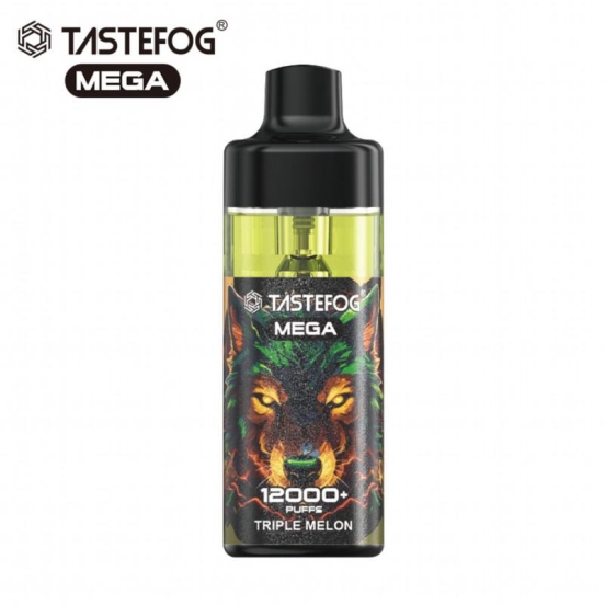 Best Vape Disposable Vape TASTEFOG Mega 1200 Puffs