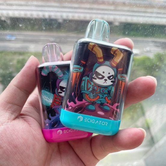 2024 Best Vape Pen Wholesale Lost Ecigator V Ape 5000 Puffs Disposable Vape