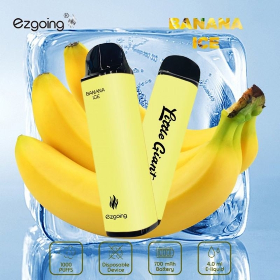 Good Price Wholesale Ezgoing Ezgoing-1000 About 1000 Puffs Vape Bars