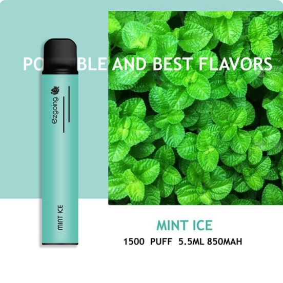 Bulk Price Wholesale Price Ezgoing Ezgoing-1500 About 2800 Puffs Vape