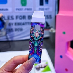 Eboat Times or OEM D1 2g Empty Disposable Vape Pens