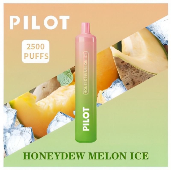 Disposable Vape Pens Wholesale Pilot 2500