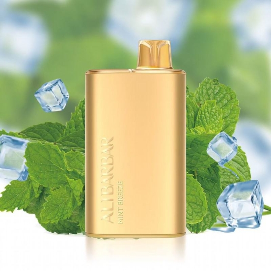 Wholesale Disposable Vape Bars Lio Ali Rich 8000 12000 Puffs