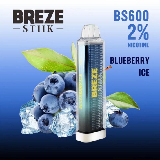 2024's Top Sellers Customizable Disposable Vapes Bs 600 Puffs Wholesale