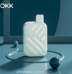 Disposable Vape Okk Traverller 10000 Puffs Brands