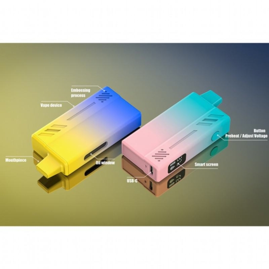 2024's Top Sellers custom Disposable E-cigarette