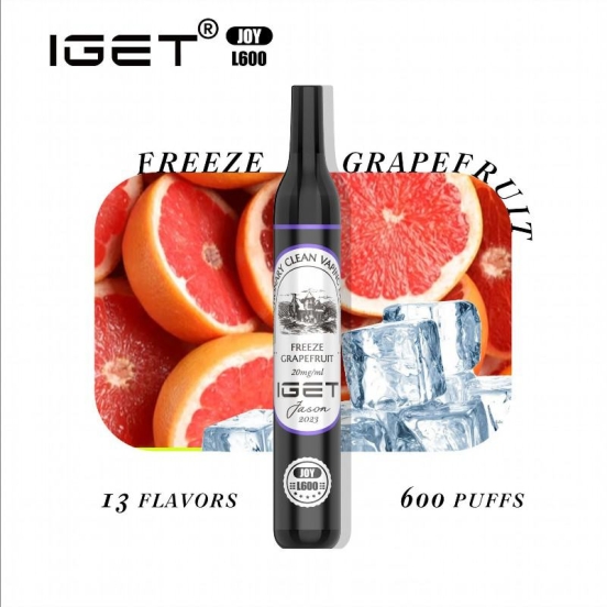 Disposable IGET Iget Joy L 600 Puffs Vape Pens Wholesale Price
