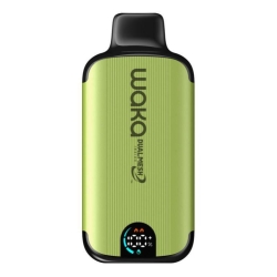 Disposable Waka Waka Sopro Dmi 8000 Puffs Vape Brands