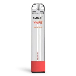 Disposable Songni Songni-2000 Vape Pen