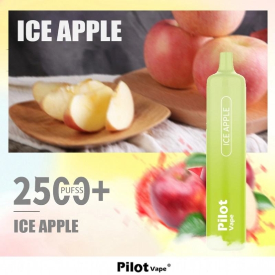 Maskking Pilot Max 2500 Puffs Vape Wholesale Price