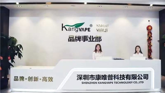 Disposable Vape Pen Wholesale KANG 3000 2000 Puffs