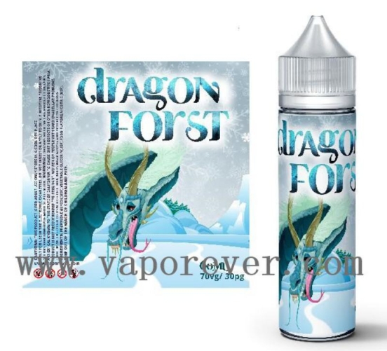 Wholesale Price VAPOREVER Eliquid Empty Bottle Disposable Vape