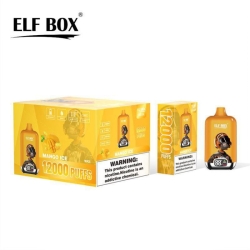 no Disposable Vapes Elf Box Digital 12000 Puffs