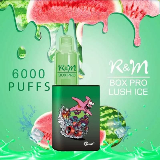 Premium Wholesale Price Disposable R&M R&m Box Pro 6000 Puffs Vape Pen