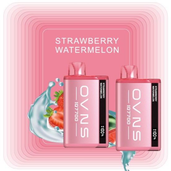 Disposable Big Hit Vape OVNS 307