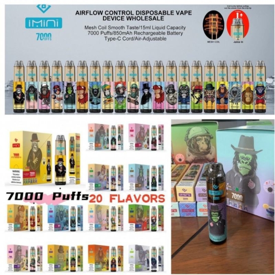 Top Picks 2024 Smok C30 7000 Puffs Wholesale Vape