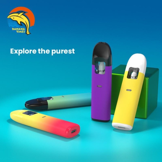 Customized Bg02 Empty Disposable Vape Pen Wholesale