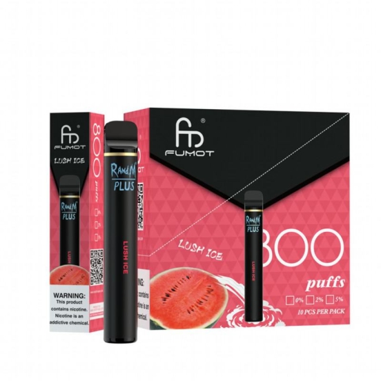 top-notch vaping disposable Randm plus 800 puffs vape wholesale