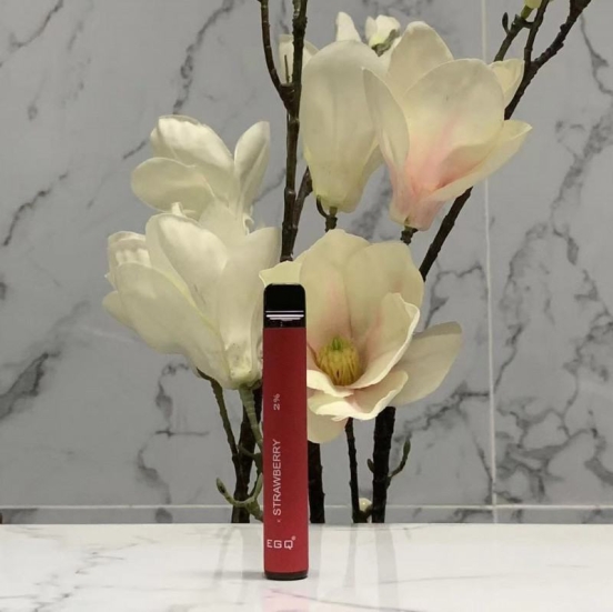 Authentic EGQ D15 600 Puffs Vape Price