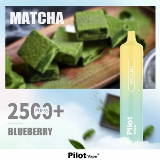 Cheap Pricing pilot 10000 10k Pilot 2500 10000 Puffs Vape Rechargeable