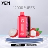 Big Puff Pens Plus YEM Bm12s-20mn 12000 Puffs Vape