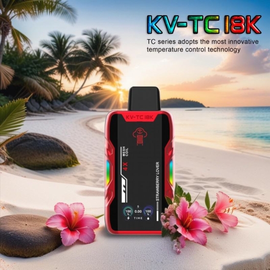 Vape Disposable Wholesale Kang Kv18k