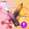 Disposable Vape Brands KANG 5500 2500 Puffs