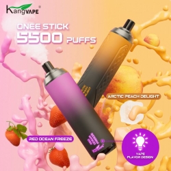 Disposable Vape Brands KANG 5500 2500 Puffs