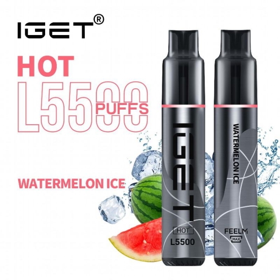 All Flavors Vape IGET Iget Hot L5500 5000 Puffs Wholesale