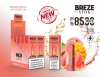 Breze Stiik 8500 Pen