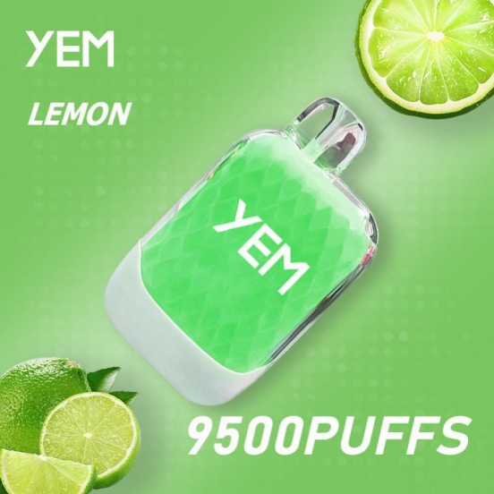 yem Td95-13mini 9500 Puffs Wholesale Vape