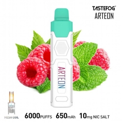 Disposable Tastefog Tastefog Arteon 6000 Puffs Vapes