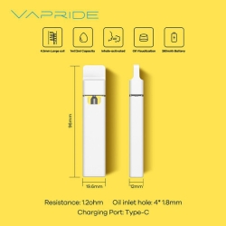 Disposable VAPRIDE Vape Vp40 2gram Brands
