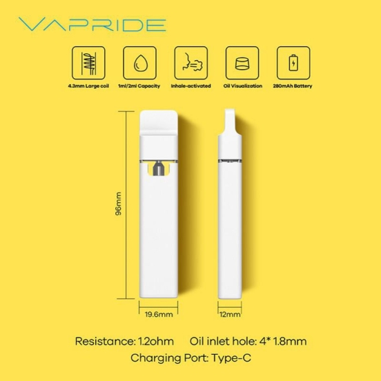 Best Vape Wholesale Price VAPRIDE Vp40 2gram Disposable Vape