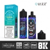 QUIZZ Puff Truflayor 8000 Puffs Disposable E-cigarette