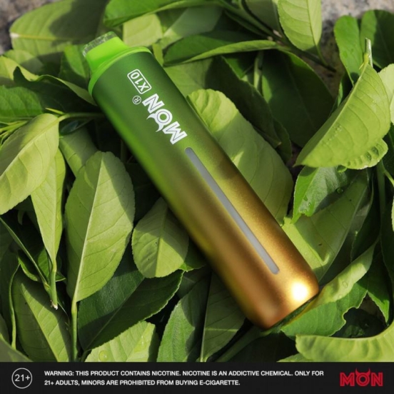Disposable Vape Pens Wholesale Monr Mon X10
