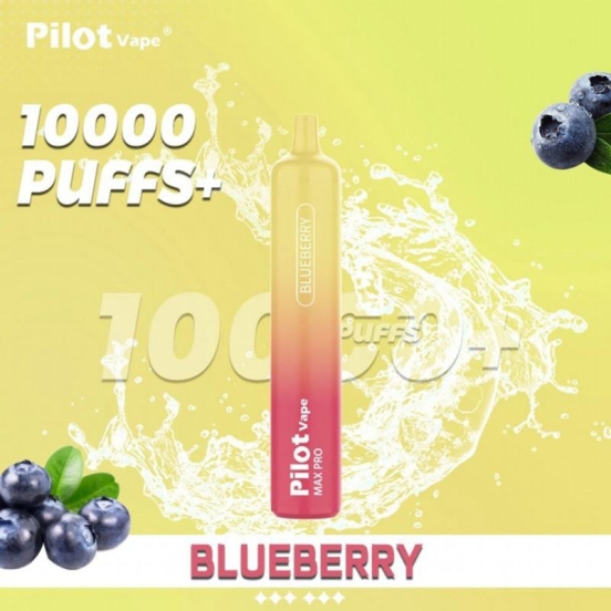 2024 Best Vape Pen Disposable Vape pilot 10000 10k Pilot 10k 10000 Puffs Wholesale