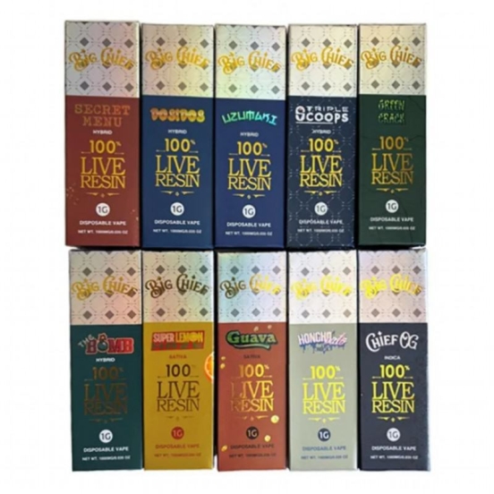 2024's Premium Vape Pen Disposable Vape Wholesale OEM Big Chief Empty Disposable