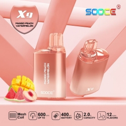 Kang Disposable Vape Brands 2500 Puffs