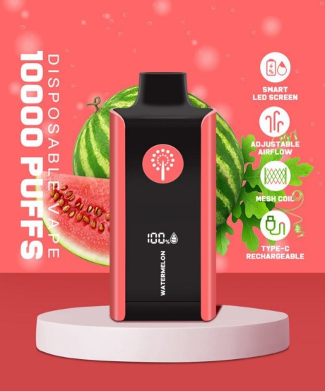 Smok Zbood Digital Box 10000 Vape