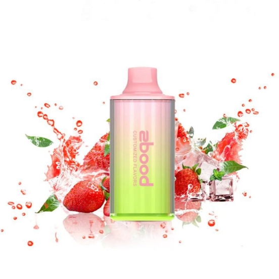 2024's Finest Vaping Baish Big Puff Pen Plus