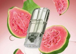 SNOWPLUS Vape Bar Alien Air 300 Puffs