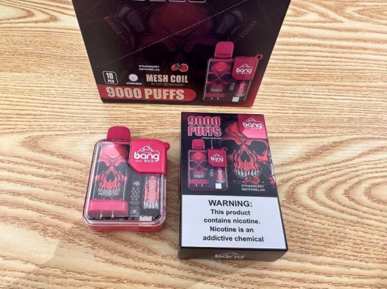 Best Vape Disposable Vapes Wholesale Bang 9669696