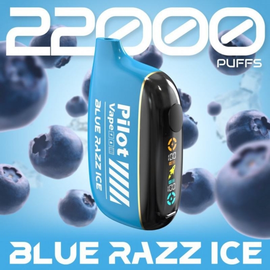 Superior Quality Disposable Pilot Vape Pilot Star Bat 22000 Puffs Brands