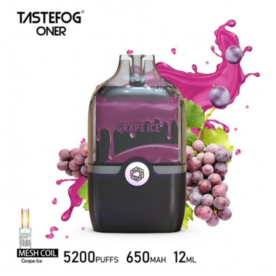2024 Best Selling Wholesale Disposable Vape Pens Tastefog 5200 Puffs